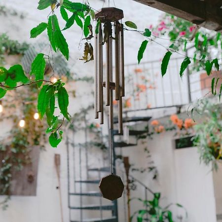 Florentina Symbiosis 麦德林 外观 照片