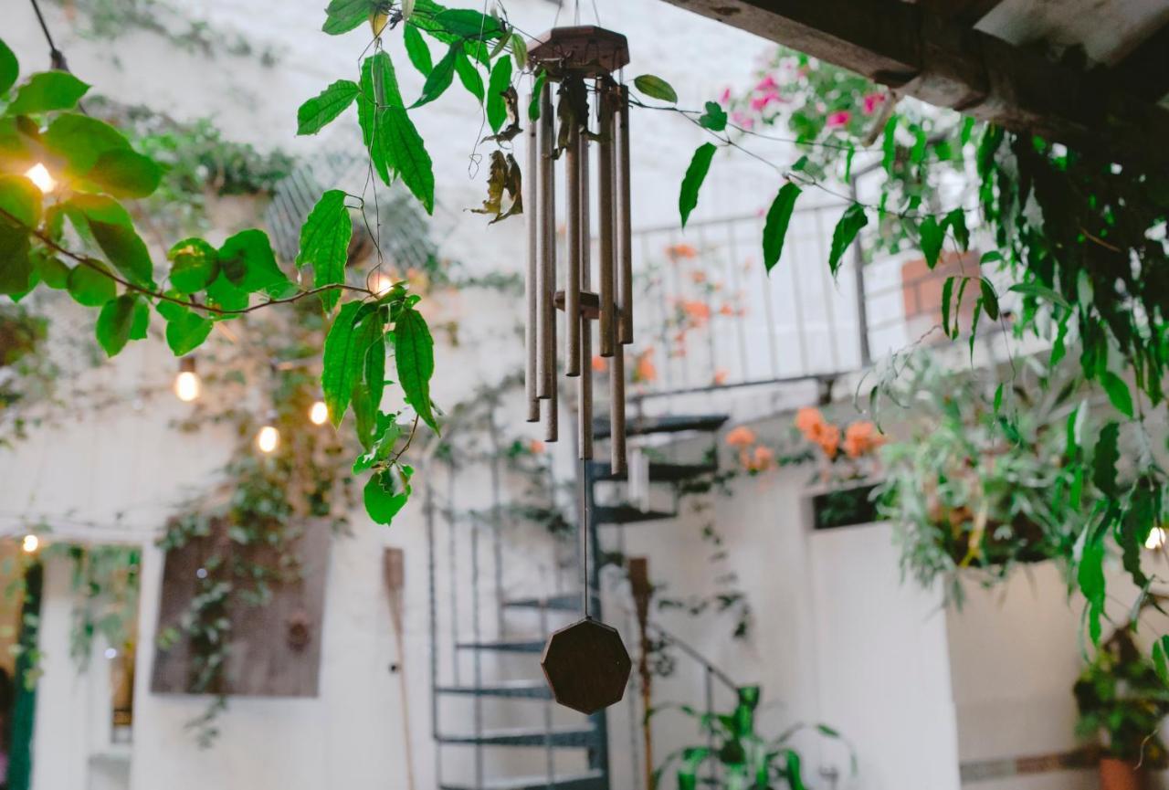 Florentina Symbiosis 麦德林 外观 照片