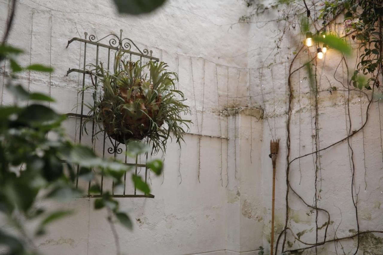 Florentina Symbiosis 麦德林 外观 照片